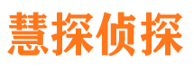 桃江市私家侦探